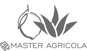 master agricola 2